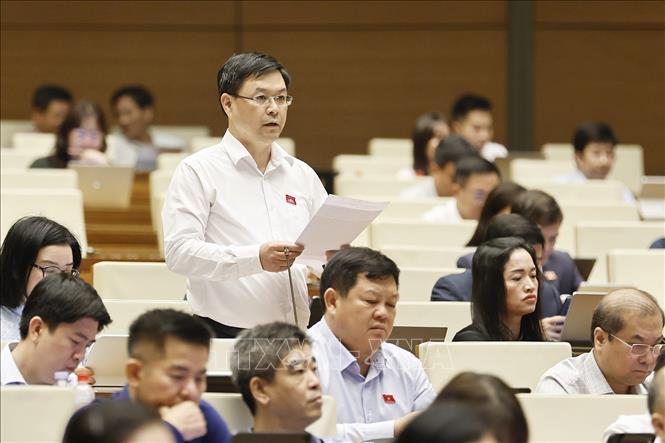 Đại biểu Quốc hội TP Đà Nẵng Nguyễn Hải Long phát biểu. Ảnh: Doãn Tấn - TTXVN