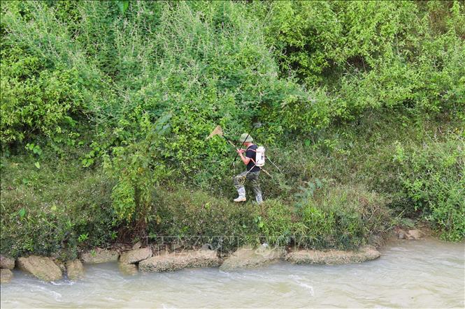 Người dân mang bộ dụng cụ kích điện ra sông Đào (dài gần 60km) để đánh bắt tôm, cá. Ảnh: Xuân Tiến - TTXVN 