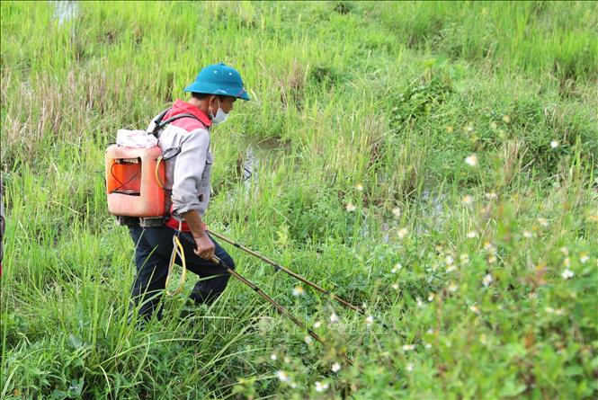 Tình trạng người dân sử dụng kích điện tại các địa bàn hạ nguồn sông Đào còn nhiều, gây áp lực lớn đến nguồn lợi thủy sản, các loại thủy sinh và hệ sinh thái sông Đào. Ảnh: Xuân Tiến - TTXVN 