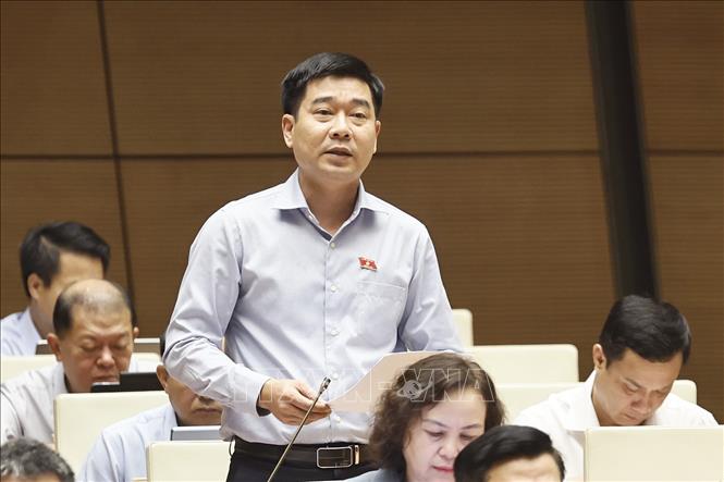 Đại biểu Quốc hội tỉnh Thanh Hoá Lê Thanh Hoàn phát biểu. Ảnh: Doãn Tấn - TTXVN
