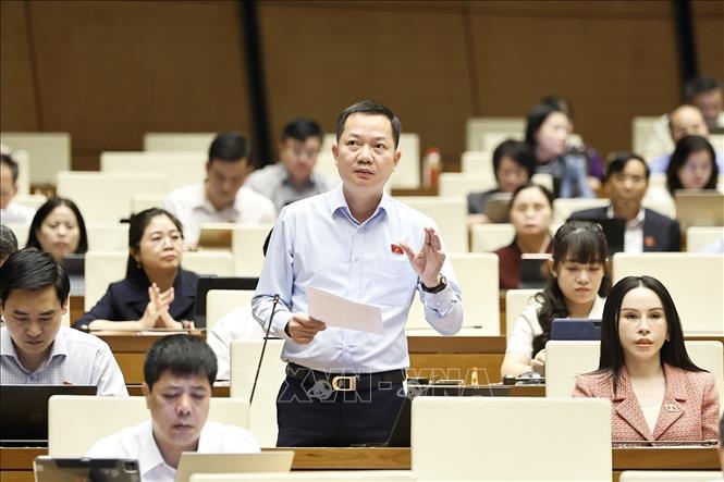 Đại biểu Quốc hội TP Đồng Nai Trịnh Xuân An phát biểu. Ảnh: Doãn Tấn - TTXVN