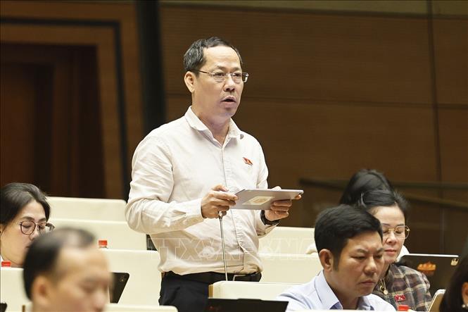 Đại biểu Quốc hội tỉnh Nghệ An Trần Nhật Minh phát biểu. Ảnh: Doãn Tấn - TTXVN

