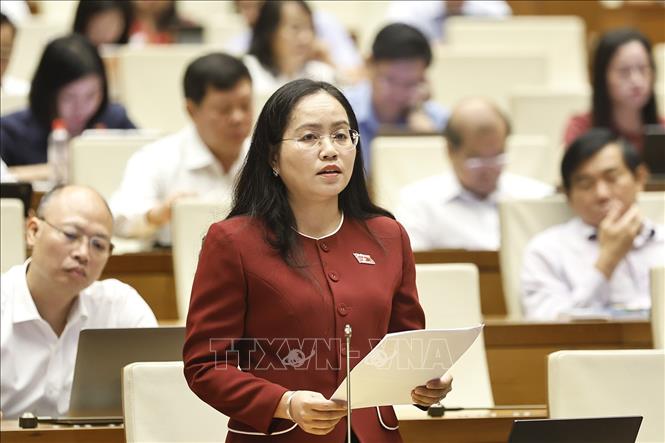 Đại biểu Quốc hội tỉnh Thái Nguyên Hồ Thị Kim Ngân phát biểu. Ảnh: Doãn Tấn - TTXVN

