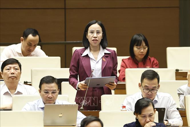 Đại biểu Quốc hội Thành phố Hồ Chí Minh Võ Ngọc Thanh Trúc phát biểu. Ảnh: Doãn Tấn - TTXVN

