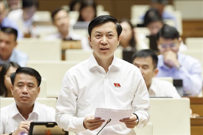 Đại biểu Quốc hội tỉnh Lạng Sơn Nguyễn Hoàng Tùng phát biểu. Ảnh: Doãn Tấn - TTXVN