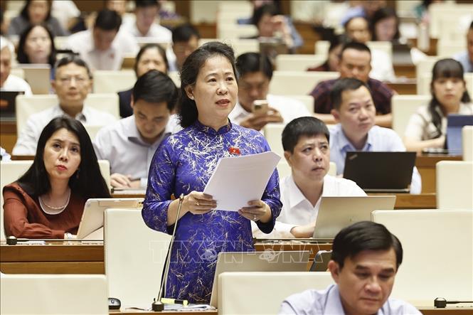 Đại biểu Quốc hội TP Cần Thơ Tô Ái Vang phát biểu. Ảnh: Doãn Tấn - TTXVN