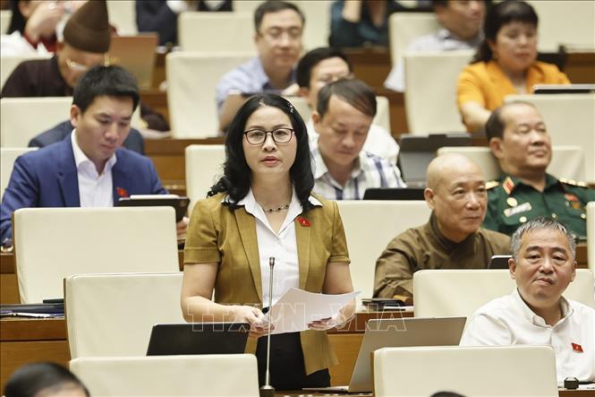 Đại biểu Quốc hội TP Hà Nội Nguyễn Thị Lan phát biểu. Ảnh: Doãn Tấn - TTXVN