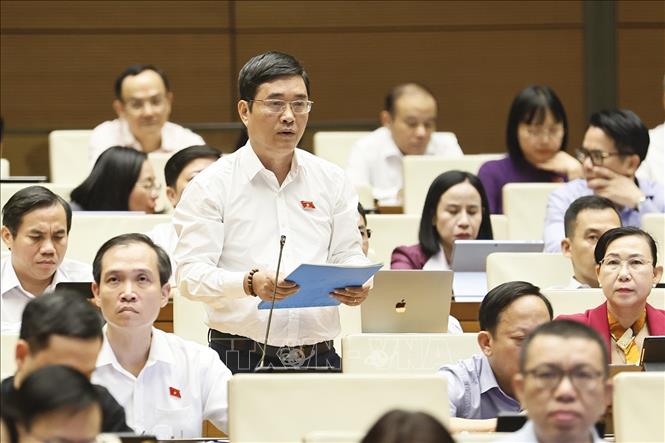 Đại biểu Quốc hội tỉnh Tây Ninh Hoàng Quang Hàm phát biểu. Ảnh: Doãn Tấn - TTXVN