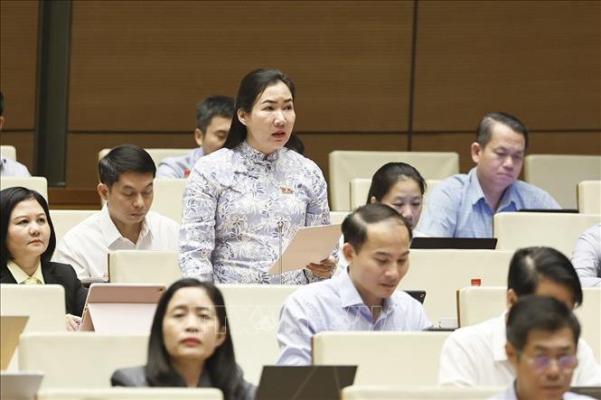 Đại biểu Quốc hội tỉnh Quang Ngãi Trần Thị Thu Phước phát biểu. Ảnh: Doãn Tấn - TTXVN