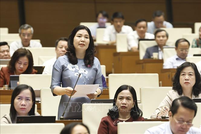 Đại biểu Quốc hội thành phố Bắc Ninh Trần Thị Vân phát biểu. Ảnh: Doãn Tấn - TTXVN