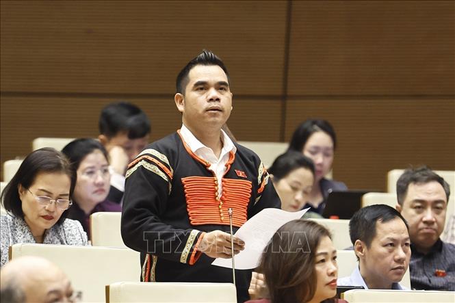 Đại biểu Quốc hội tỉnh Đắk Lắk Y Bhen KĐoh phát biểu. Ảnh Doãn Tấn - TTXVN   