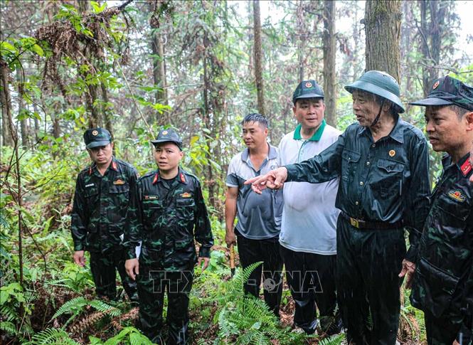 Cựu chiến binh Dương Việt Hồng (nguyên Tiểu đoàn trưởng Tiểu đoàn 3 Yên Minh, chiến đấu ở núi Bạc, xã Bạch Đích năm 1982-1984) cung cấp thông tin vị trí nghi có liệt sĩ chiến đấu và hy sinh 42 năm trước. Ảnh: Hoàng Hiếu – TTXVN